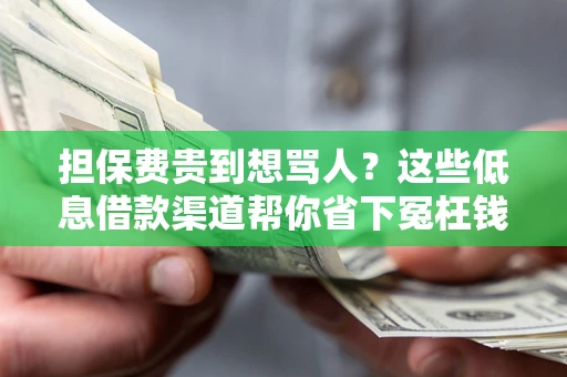 济南担保费贵到想骂人？这些低息借款渠道帮你省下冤枉钱