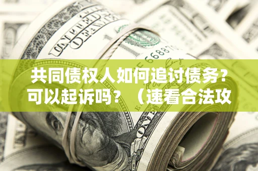 济南共同债权人如何追讨债务？可以起诉吗？（速看合法攻略）