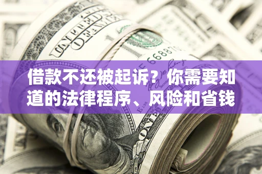 济南借款不还被起诉？你需要知道的法律程序、风险和省钱技巧